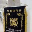 4월의 치과 일상 - 감사한 마음들과 해바라기·토마토 키우기 시작