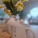 생활문화센터 | 양평 까페 추천, 생활문화센터 1층에 있는 양카페 후기