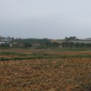 향산리 마을회관 이미지