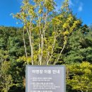 내장산국립공원 내장호야영장 이미지