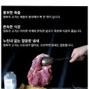돼지맘