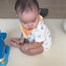 네발로갈때까지 이미지