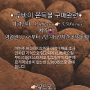 인마이오븐