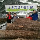 버섯마루 이미지