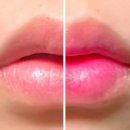 비바코리아 이미지