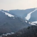 비바플렉스