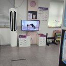 유심천건강헬스클럽 | 신내동헬스장 커브스 신내클럽, 30분 순환운동으로 받은 체형교정 PT 후기