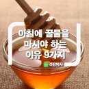 아침에 꿀물을 마셔야 하는 이유 9가지 이미지