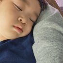 29개월 아기와 경남 고성 공룡엑스포, 당항포랜드 방문후기
