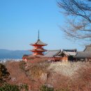 피치가 | 오사카 여행 항공권 김포 직항 피치항공 후기