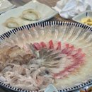 영덕물회 티스토리