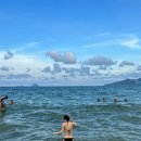 Dream like 이미지