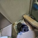 경기도 수원시 영통구 매여울로57번길 이미지