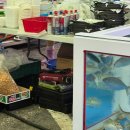 광주광역시 서부농수산물도매시장 대회의실 | 광주 전어 새우 구이 축제 '서부농수산물도매시장' 솔직한 후기