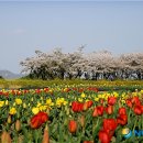 화전소류지 뉴시스