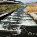 어도 천지일보