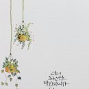 민들레자원