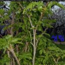 성림농장 이미지