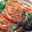 비타민김치 티스토리