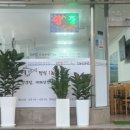 서귀동-52 네이버블로그