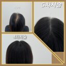 채움하다