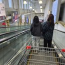 세종 코스트코 장보기 리얼후기｜영업일 신상품