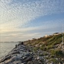 11545-10-25-24 | 서산 A방조제 출조 후기 (25/10/24) <풀치>