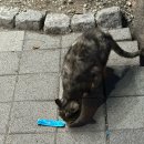 씨유 사천카이점 | 2024.03 - 04 log