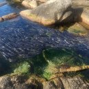 다라니농장 이미지