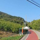 영천공인중개사사무소 이미지