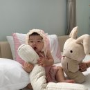 아이나래풀 이미지