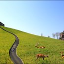 사슴목장 이미지