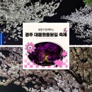 2025 경주 벚꽃축제 대릉원돌담길 축제 프로그램 주차장