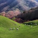 커피누리 이미지