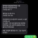 콩타일