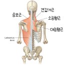 담이네