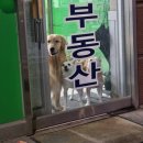 햅쌀만꼬마김밥전문 이미지