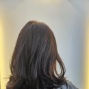 7월의 헤어