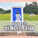 도영목장 | 제주 조천 사진찍기 좋은 포토존카페 비케이브 인생샷 카페