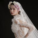 노바 벨리타 이미지