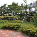 상쾌한 항구병원 네이버블로그
