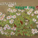 ＜KOINONIA 의 후원회원이 되어 주세요.＞ 이미지