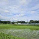 바로미