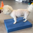 올바로 교육문화센터 이미지