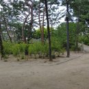 경영인쇄사