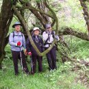 대은주유소 이미지