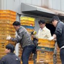 성산일출봉농업협동조합 농산물산지유통센터 | 성산일출봉농협, 2026년 '폐 플라스틱' 농산물 운반상자 교환사업 실시 [2026. 4.28 화]