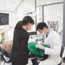 올바름치과의원 이미지