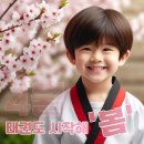 도원태권도 이미지