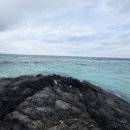 아침해변 | 제주 구좌 감성숙소 ‘제주아침’ 솔직 후기 | 월정리·코난해변 도보 여행 숙소